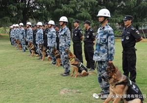 江蘇宿遷警方推“共享保安”模式，可防性案件下降21%